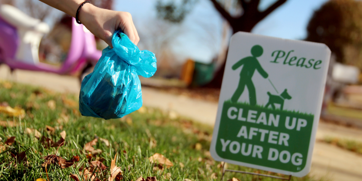 A person holding a pet waste bag near a sign that reads \"Please Clean Up After Your Dog\"
